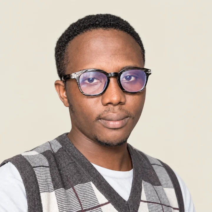 Animasaun Damilare